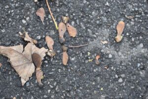 Close-up of tarmac with scattered dried leaves, maple seeds (helicopters), and small sticks. The leaves and seeds are brown and curled, contrasting with the dark, textured surface of the pavement.