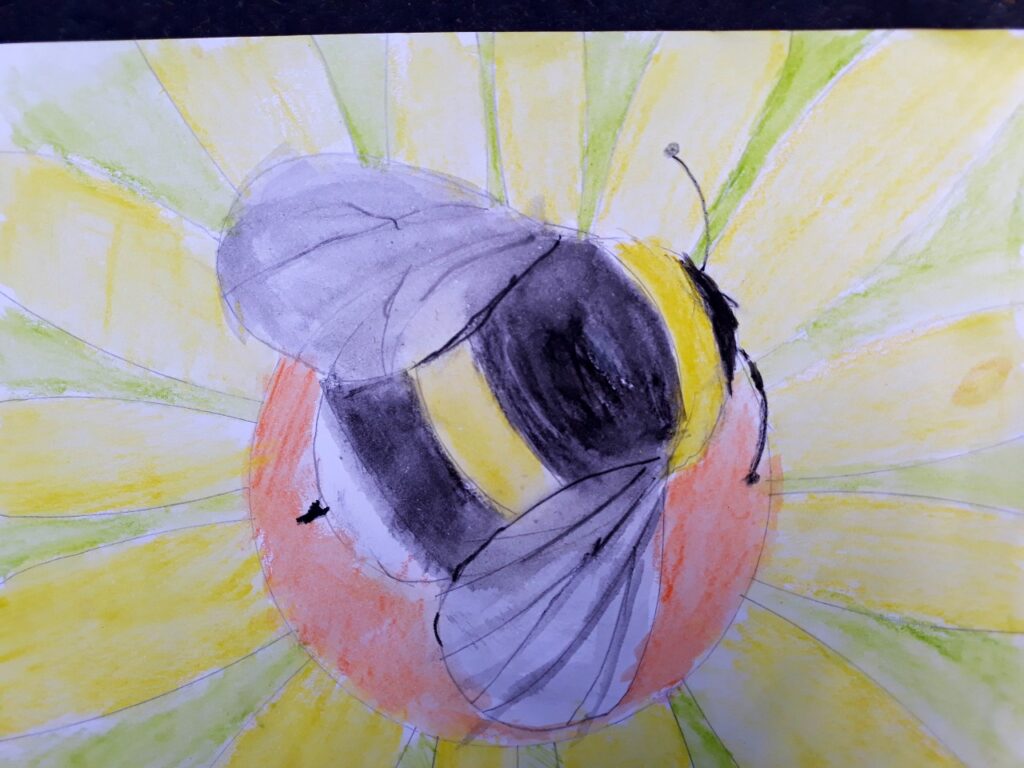 Llun wedi'i dynnu â llaw o gacynen gyda streipiau du, melyn a gwyn yn eistedd ar ganol oren blodyn melyn gyda chysgodi gwyrdd golau yn y cefndir.