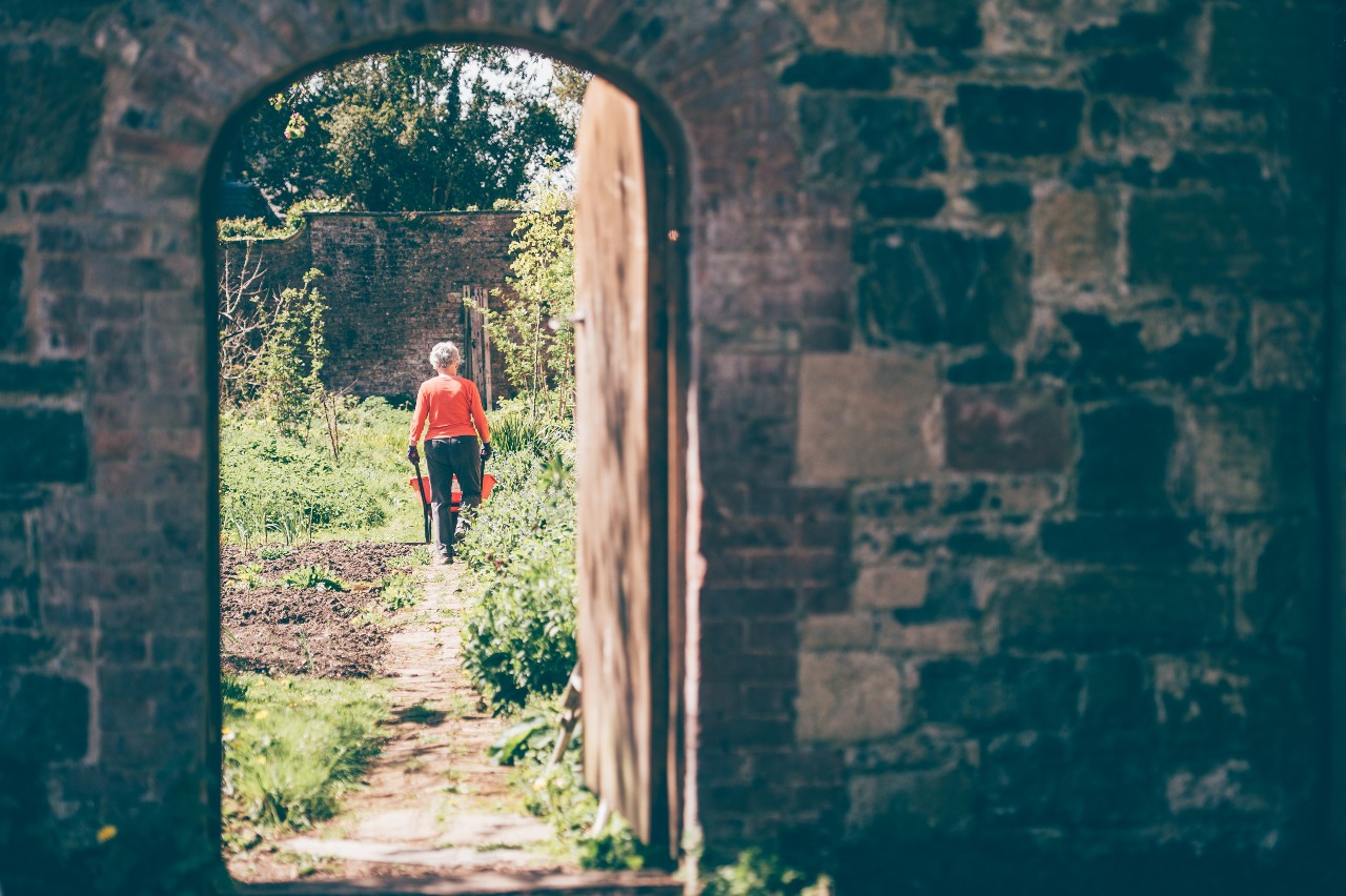  A person wearing an orange shirt walks through a garden, seen through a stone archway. The scene is bright and sunny, with plants growing along the path and a stone wall framing the view. 